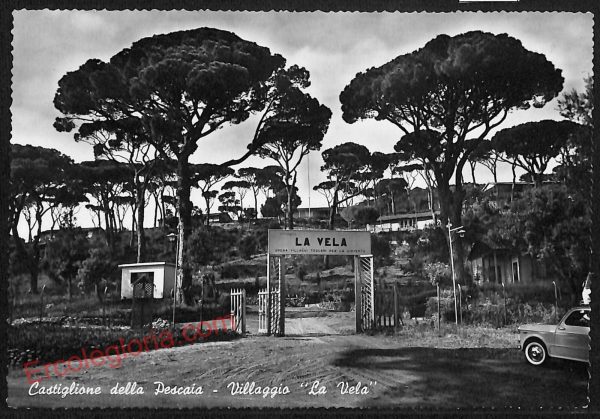 ag2104 - CARTOLINA D'EPOCA - Grosseto Provincia - Castiglione della Pescaia