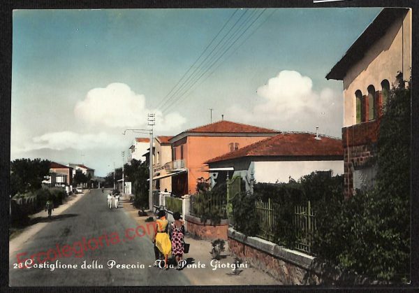 ag2106 - CARTOLINA D'EPOCA - Grosseto Provincia - Castiglione della Pescaia 1961