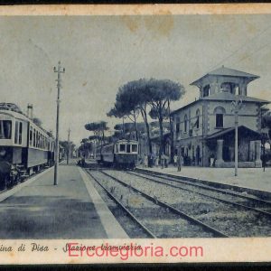 ad6981 - CARTOLINA D'EPOCA - Pisa Provincia - Marina di Pisa  1950