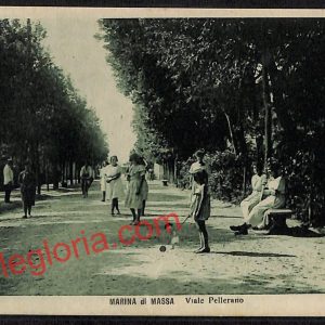 ag8020 - CARTOLINA D'EPOCA - Massa Carrara Provincia - Marina di Massa
