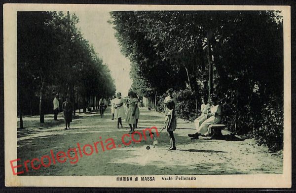 ag8020 - CARTOLINA D'EPOCA - Massa Carrara Provincia - Marina di Massa