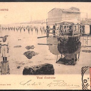 ac7371 - CARTOLINA D'EPOCA - Livorno Città - Vivai d'ostriche  1902