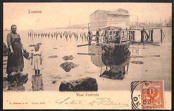 ac7371 - CARTOLINA D'EPOCA - Livorno Città - Vivai d'ostriche  1902