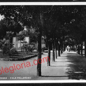 ag8034 - CARTOLINA D'EPOCA - Massa Carrara Provincia - Marina di Massa