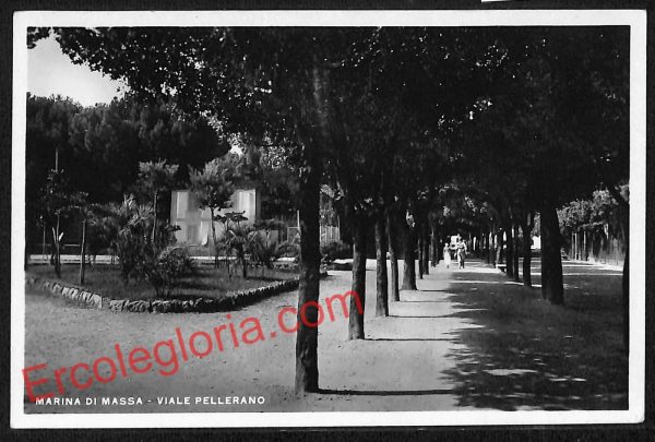 ag8034 - CARTOLINA D'EPOCA - Massa Carrara Provincia - Marina di Massa