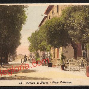 ag8047 - CARTOLINA D'EPOCA - Massa Carrara Provincia - Marina di Massa