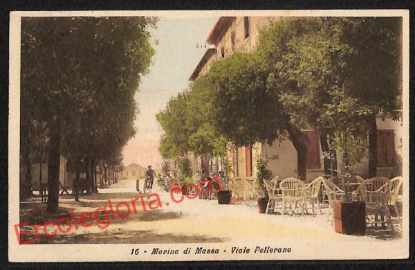 ag8047 - CARTOLINA D'EPOCA - Massa Carrara Provincia - Marina di Massa