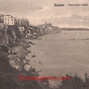 ad8438 - CARTOLINA D'EPOCA - Roma Provincia - Nettuno