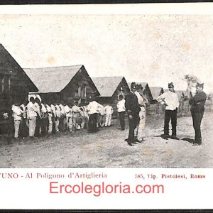 ad8443 - CARTOLINA D'EPOCA - Roma Provincia - Nettuno