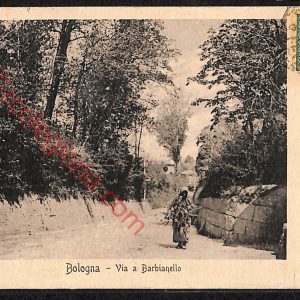 ae2373 - CARTOLINA  D'EPOCA - Bologna Città - Via a Barbianello