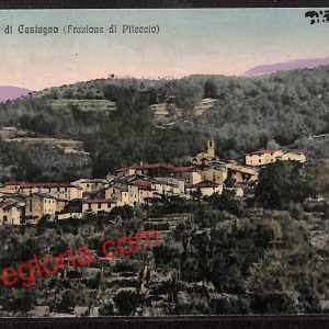ah8218 - CARTOLINA D'EPOCA - Pistoia Provincia - Castagno