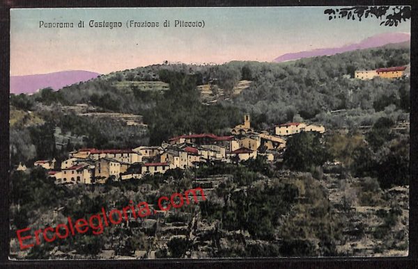 ah8218 - CARTOLINA D'EPOCA - Pistoia Provincia - Castagno