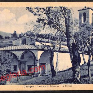 ah8219 - CARTOLINA D'EPOCA - Pistoia Provincia - Castagno