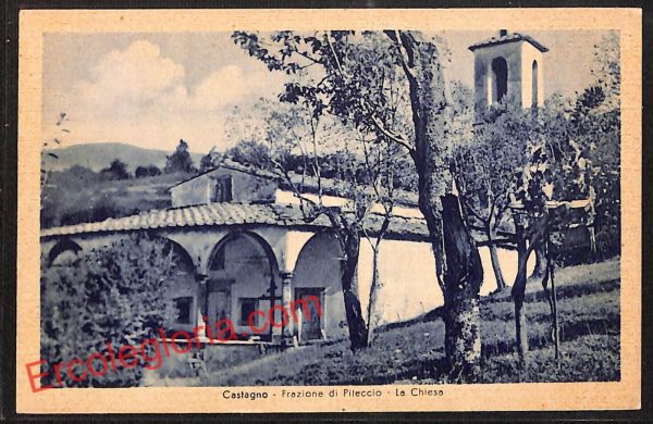 ah8219 - CARTOLINA D'EPOCA - Pistoia Provincia - Castagno