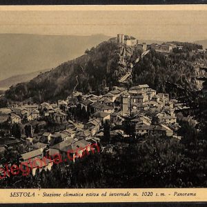 ag9517 - CARTOLINA D'EPOCA - Modena Provincia - Sestola