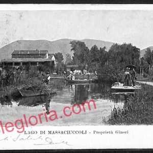 ag6661 - CARTOLINA D'EPOCA - Lucca Provincia - Lago di Massaciuccoli
