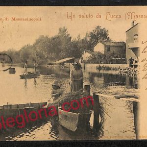 ag6669 - CARTOLINA D'EPOCA - Lucca Provincia - Lago di Massaciuccoli