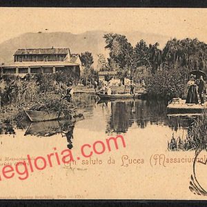 ag6670 - CARTOLINA D'EPOCA - Lucca Provincia - Lago di Massaciuccoli