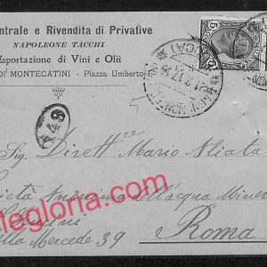 ag6678 - CARTOLINA D'EPOCA - Lucca Provincia - Montecatini