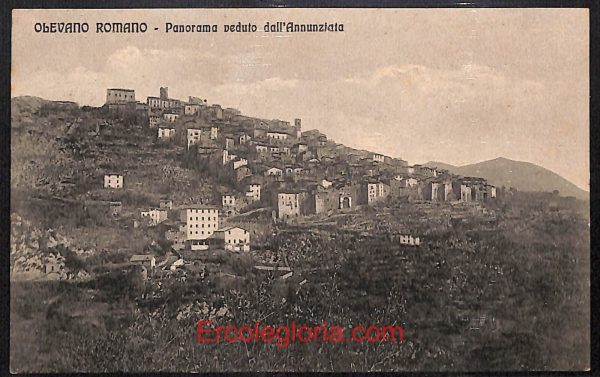 ad8495 - CARTOLINA D'EPOCA - Roma Provincia - Olevano