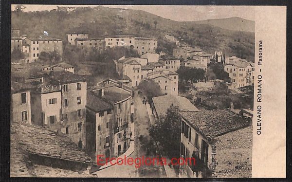 ad8497 - CARTOLINA D'EPOCA - Roma Provincia - Olevano