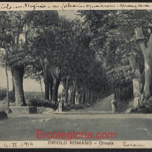 ad8498 - CARTOLINA D'EPOCA - Roma Provincia - Oriolo Romano
