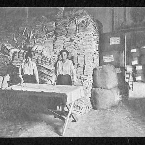 ad0431 - CARTOLINA  D'EPOCA- Genova Città - Colonia Laboratorio Municipale