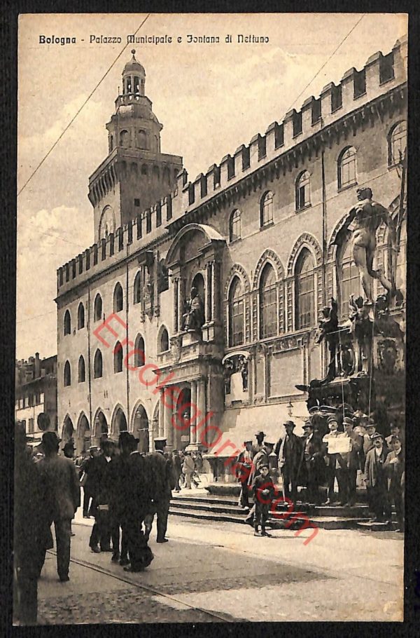 ae2409 - CARTOLINA  D'EPOCA - Bologna Città - Palazzo Municipale