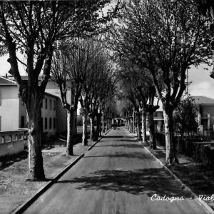 ac3994 - CARTOLINA D'EPOCA - Milano Provincia - CODOGNO  1960