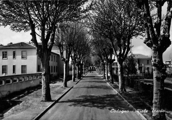 ac3994 - CARTOLINA D'EPOCA - Milano Provincia - CODOGNO  1960