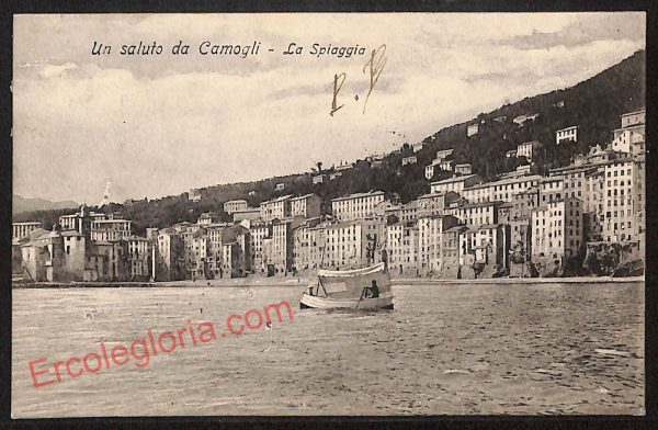 ag1229 - CARTOLINA D'EPOCA - Genova Provincia - Camogli