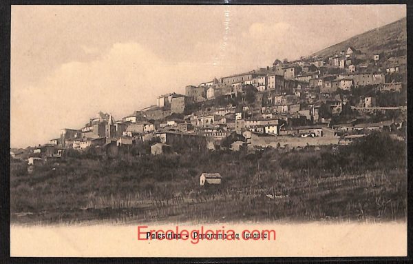 ad8505 - CARTOLINA D'EPOCA - Roma Provincia - Palestrina