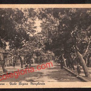 ah7273 - CARTOLINA  D'EPOCA - Pescara Città - Viale Regina Margherita