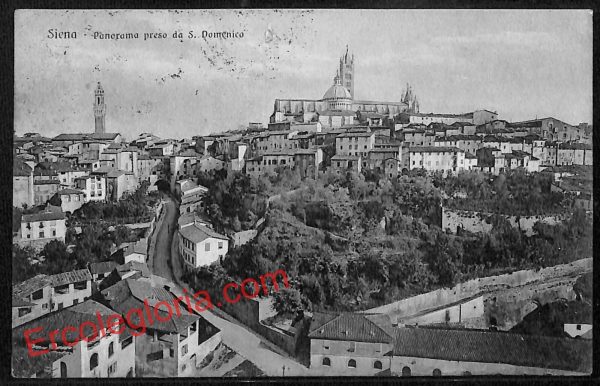 ai5269 - CARTOLINA D'EPOCA - Siena Città - Panorama