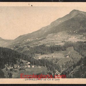 ae1216 - CARTOLINA  D'EPOCA - Belluno Provincia - Livinallongo
