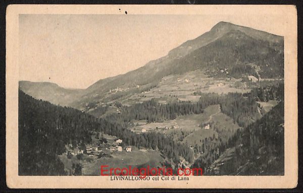 ae1216 - CARTOLINA  D'EPOCA - Belluno Provincia - Livinallongo