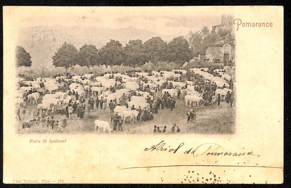 ad0490 - CARTOLINA  D'EPOCA  - Pisa Provincia - Pomarance  1902