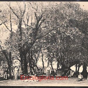ad8545 - CARTOLINA D'EPOCA - Roma Provincia - Rocca di Papa  1910