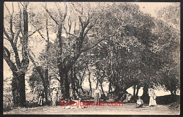 ad8545 - CARTOLINA D'EPOCA - Roma Provincia - Rocca di Papa  1910