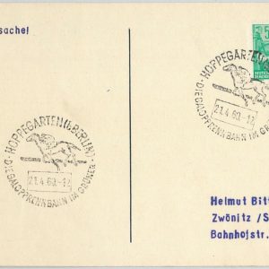 56671 - HORSE racing - GERMANY DDR - POSTAL HISTORY: Postmark on CARD 19560