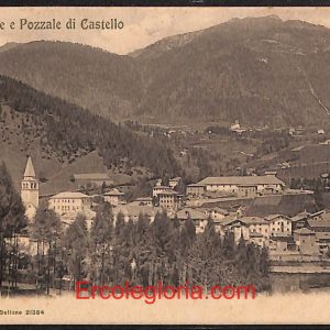 ae1226 - CARTOLINA  D'EPOCA - Belluno Provincia - Pieve di Cadore