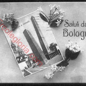 ae2447 - CARTOLINA  D'EPOCA - Bologna Città - Torri Gariselda e Asinelli