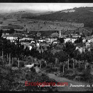 ae0509 - CARTOLINA  D'EPOCA - Arezzo Provincia - Subbiano
