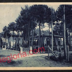 ag6733 - CARTOLINA D'EPOCA - Lucca Provincia - Pietrasanta