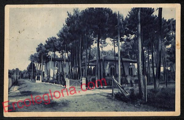 ag6733 - CARTOLINA D'EPOCA - Lucca Provincia - Pietrasanta