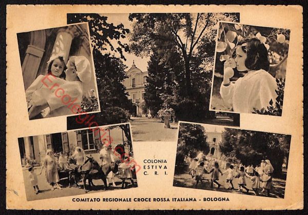 ae2470 - CARTOLINA  D'EPOCA - Bologna Città - Comitato Regionale Croce Rossa