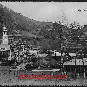 ae1267 - CARTOLINA  D'EPOCA - Belluno Provincia - Tai di Cadore