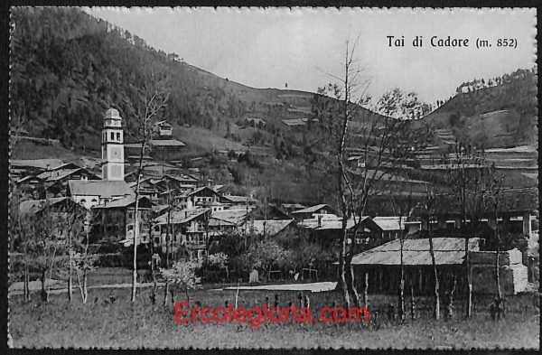 ae1267 - CARTOLINA  D'EPOCA - Belluno Provincia - Tai di Cadore