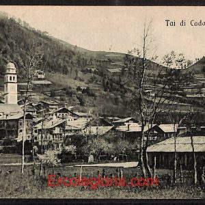 ae1268 - CARTOLINA  D'EPOCA - Belluno Provincia - Tai di Cadore