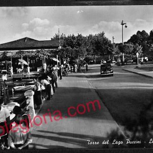 ag6791 - CARTOLINA D'EPOCA - Lucca Provincia - Torre del Lago